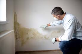 Best Air Quality Testing for Mold Spores in Warrior, AL